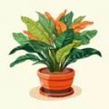 种植植物植物大亨游戏安卓版下载 v0.9.998