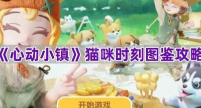 《心动小镇》猫咪时刻图鉴攻略