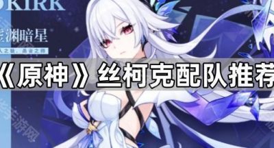 《原神》丝柯克配队推荐