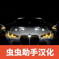 真实汽车驾驶2025中文版