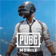 pubg轻量版北辰轻体直装