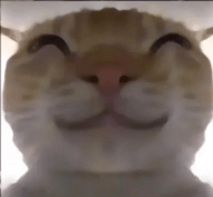 鼠鼠偷吃模拟器手机版