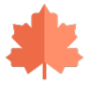 枫叶音乐盒app 1.0.1安卓版